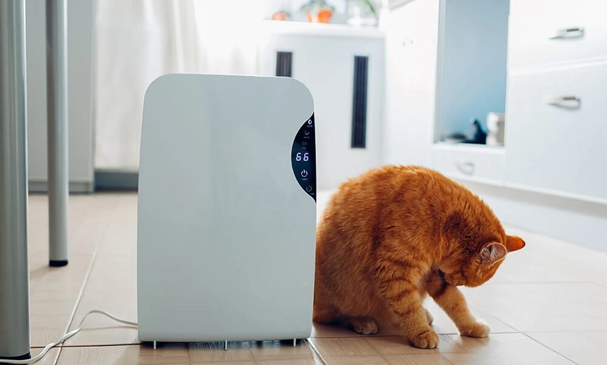 Top 7 Creative Ways to Boost Your Media